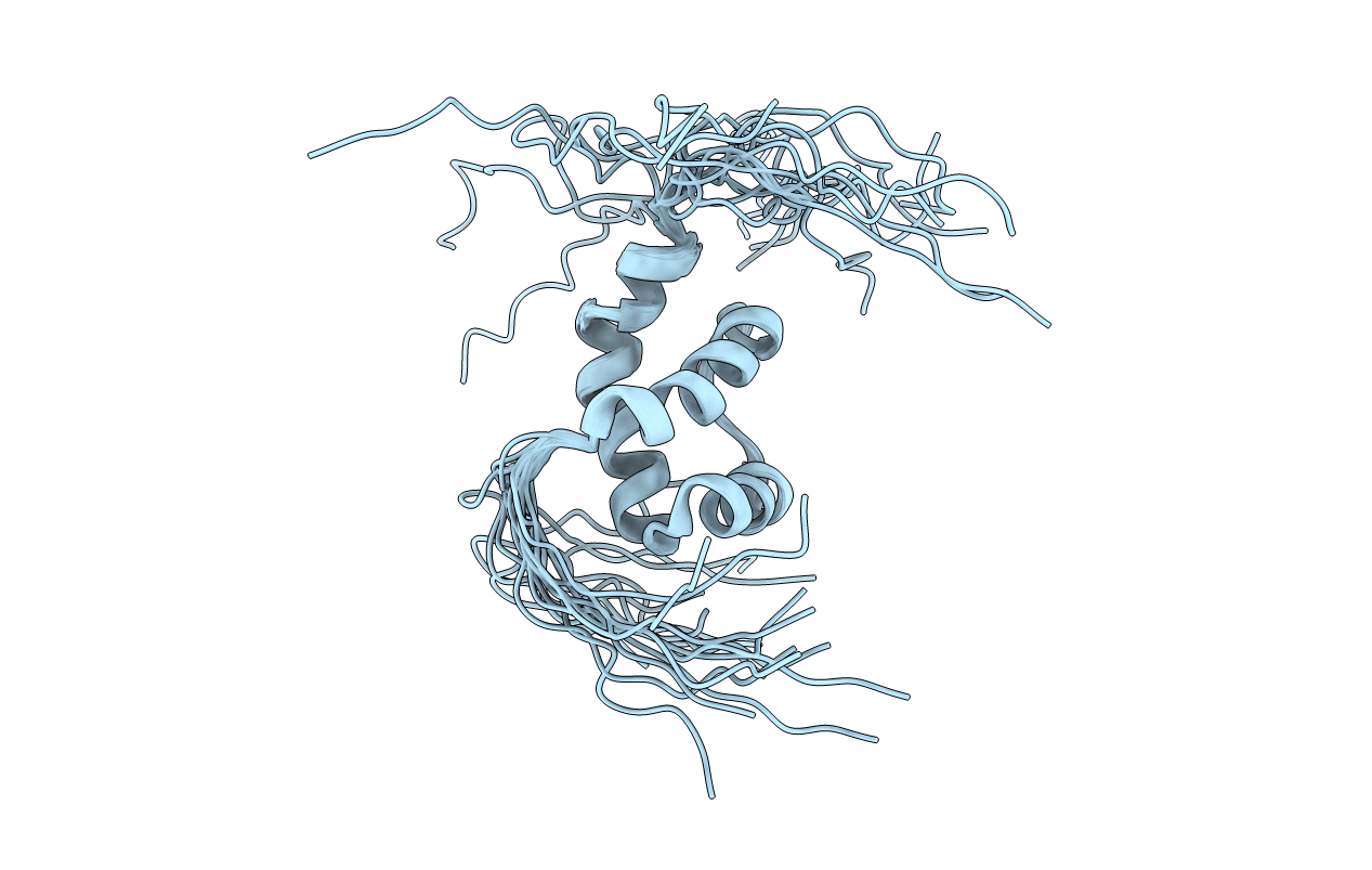 2DMN image