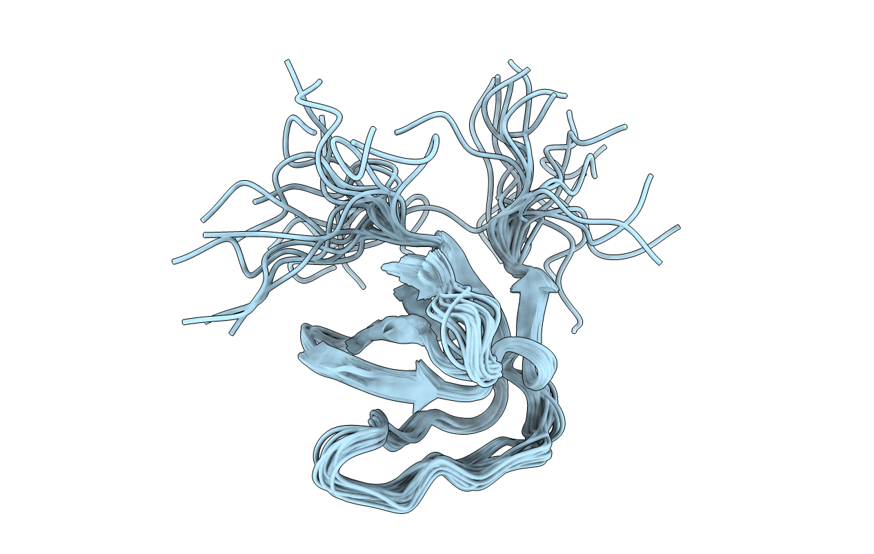 2DMO image
