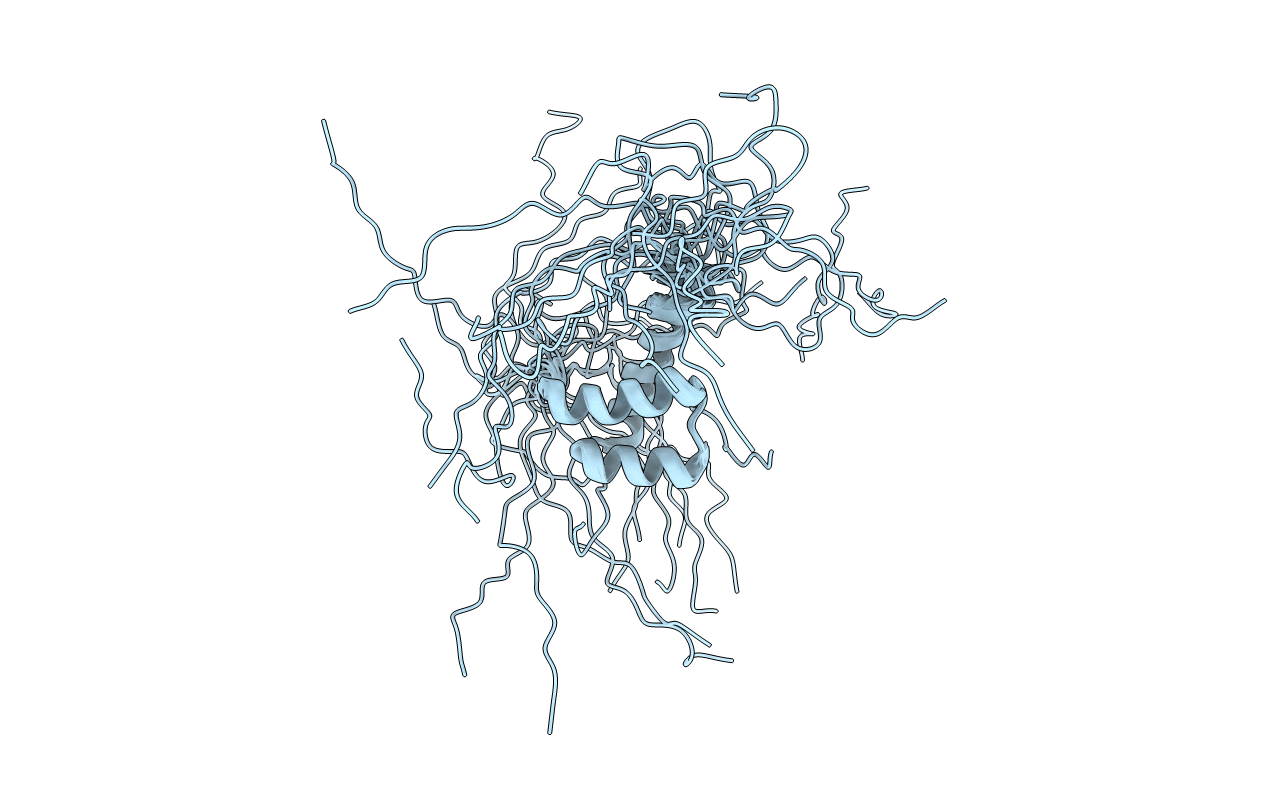 2DMP image