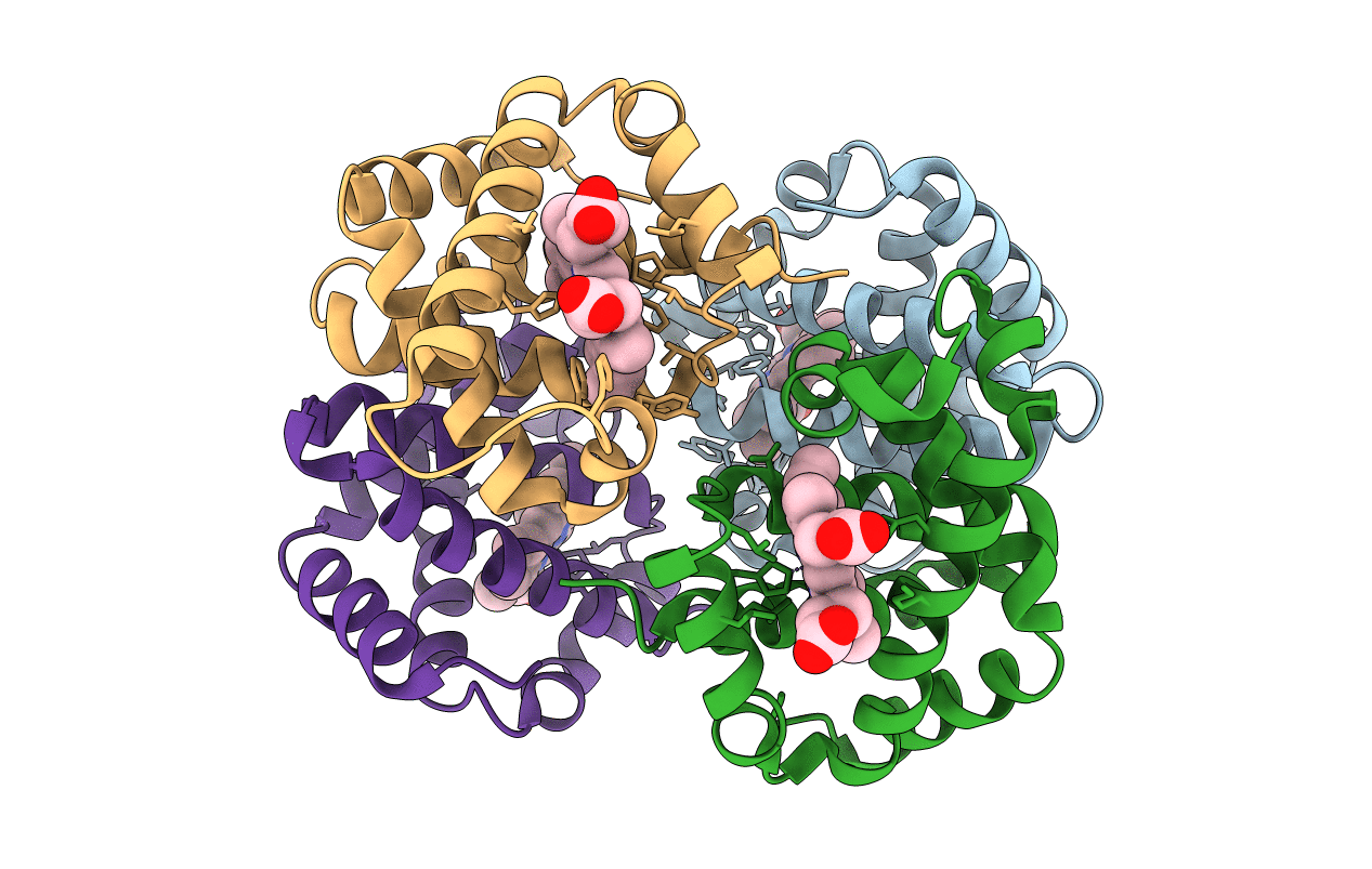 2DN2 image