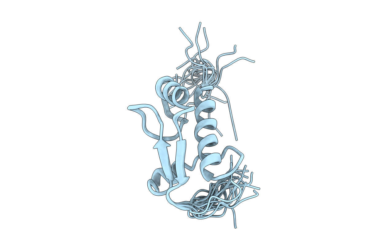 2DN5 image