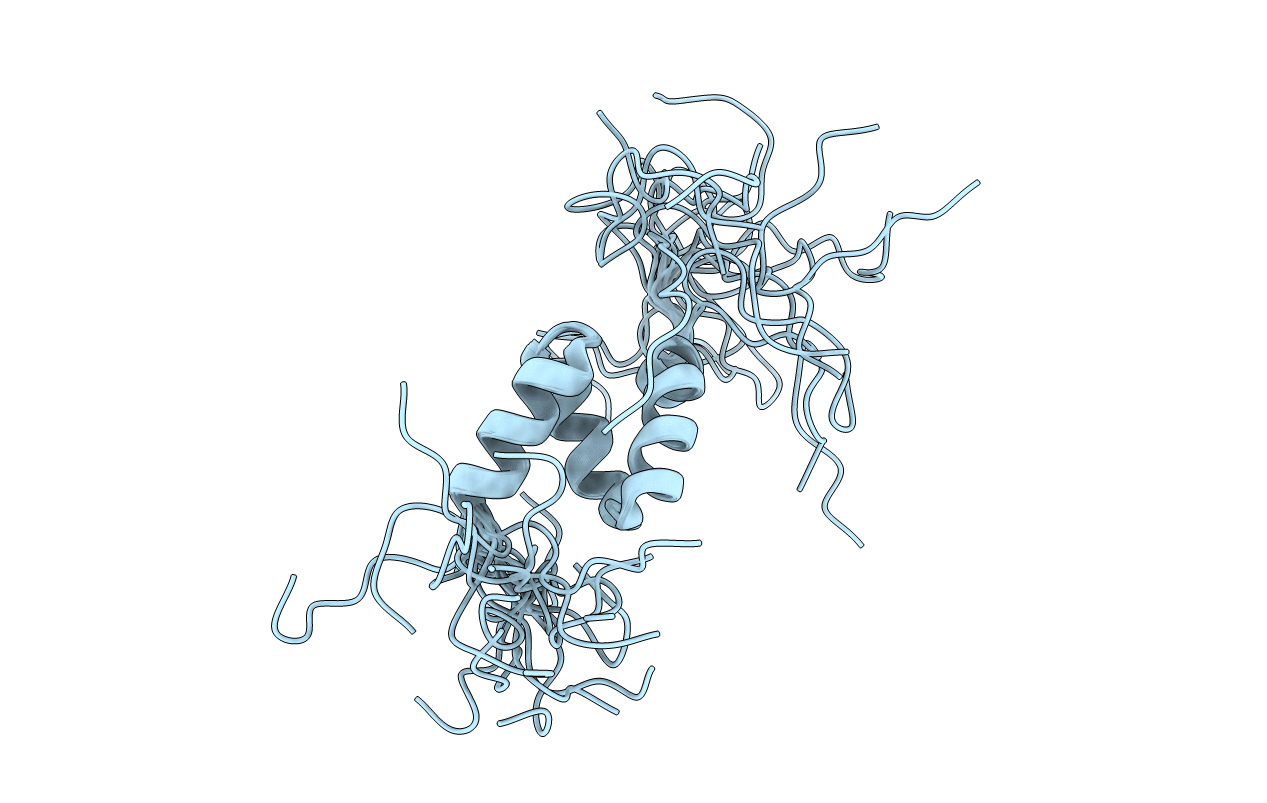 2DNA image