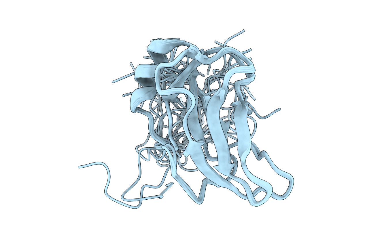 2DNE image