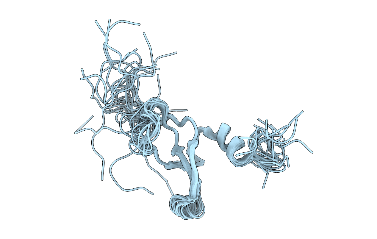 2DNV image