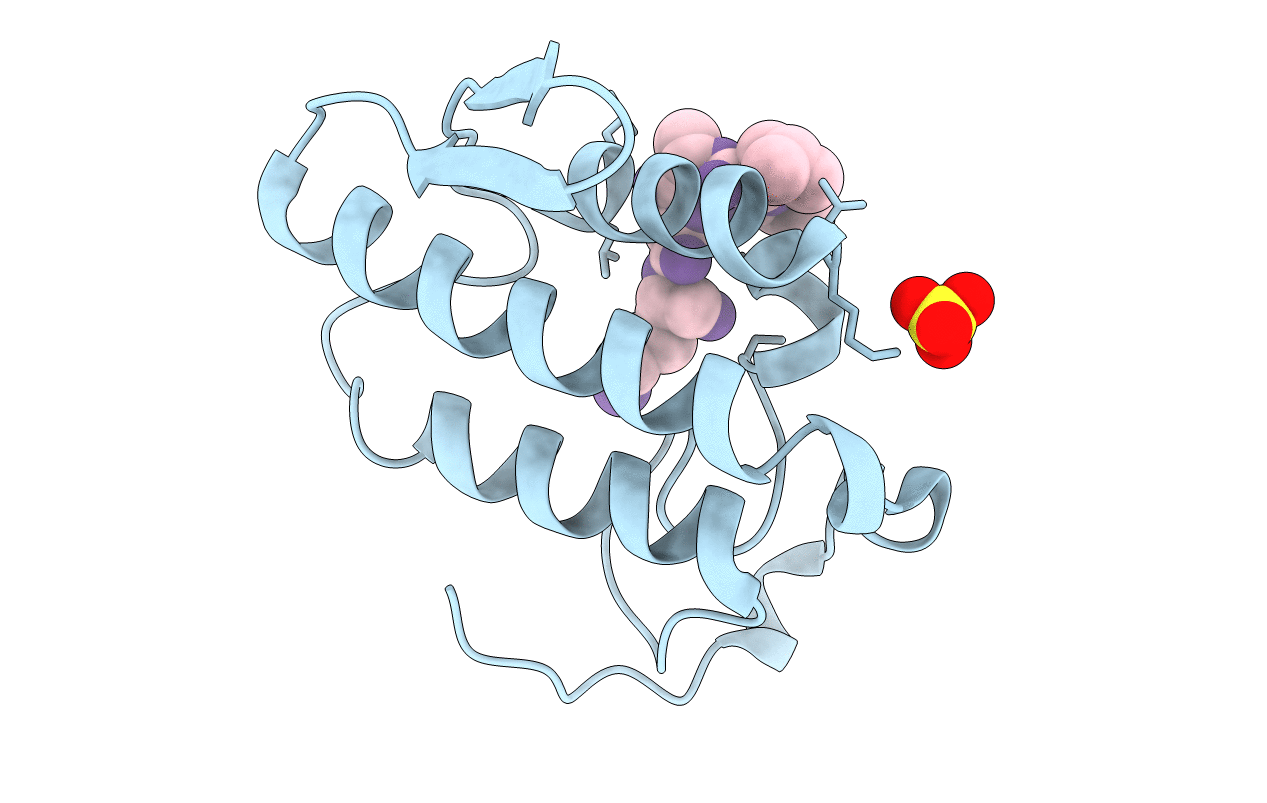 2DO2 image
