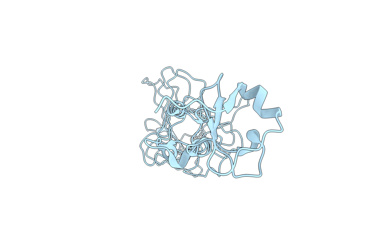 2DP5 image