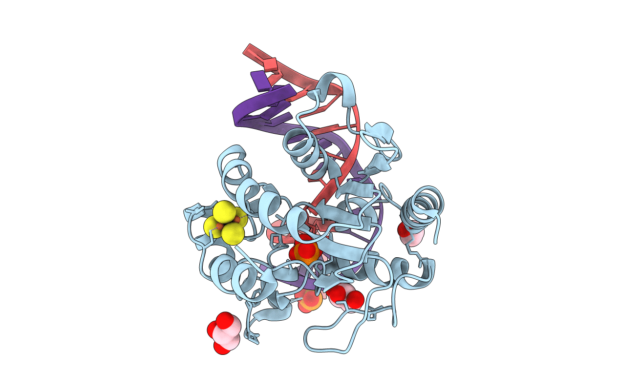 2DP6 image