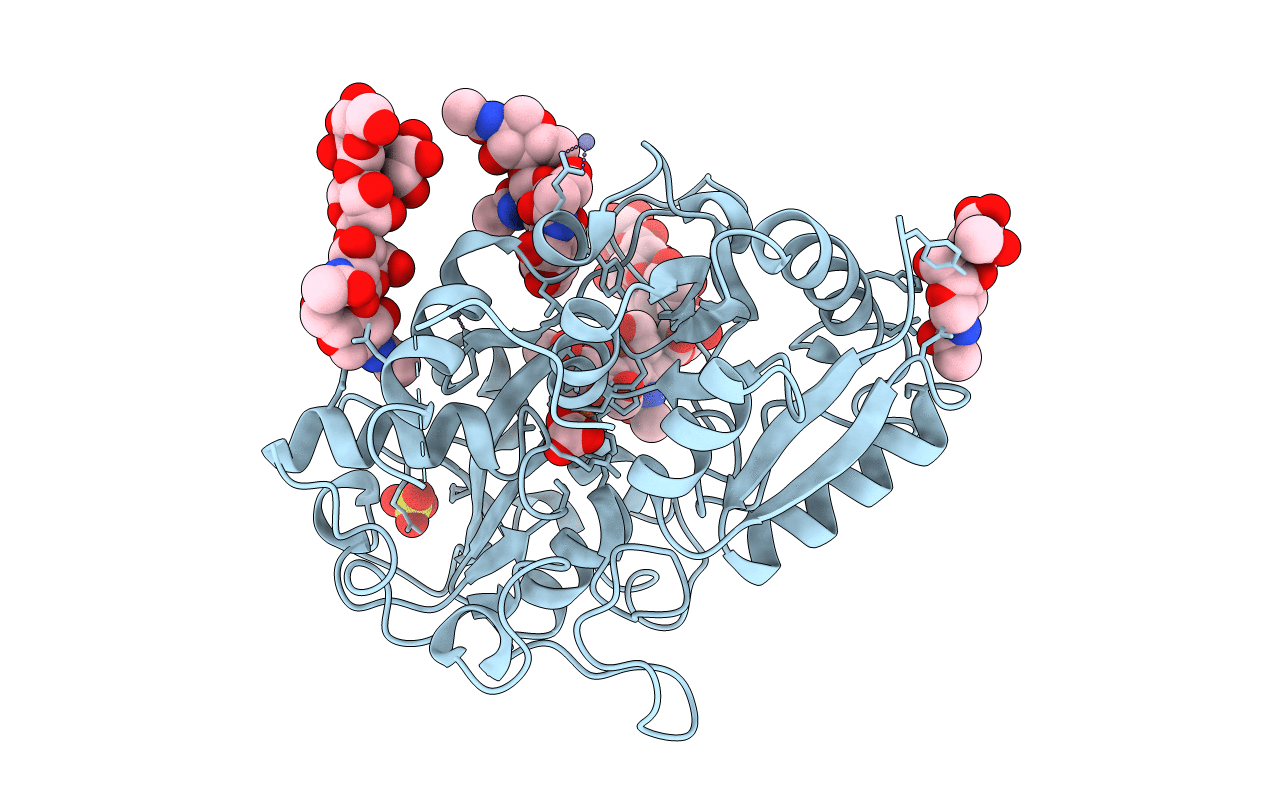2DP8 image