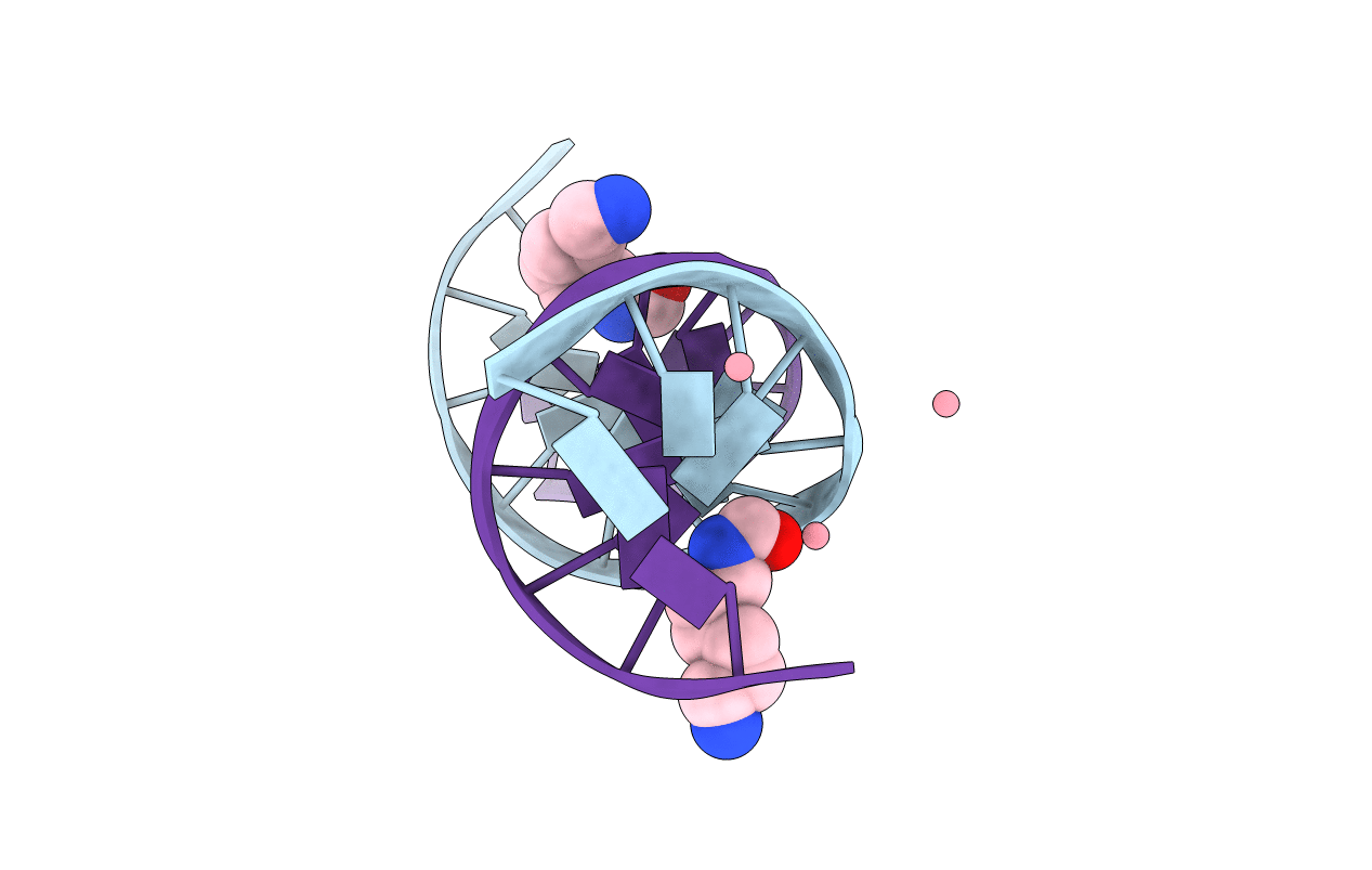 2DPC image