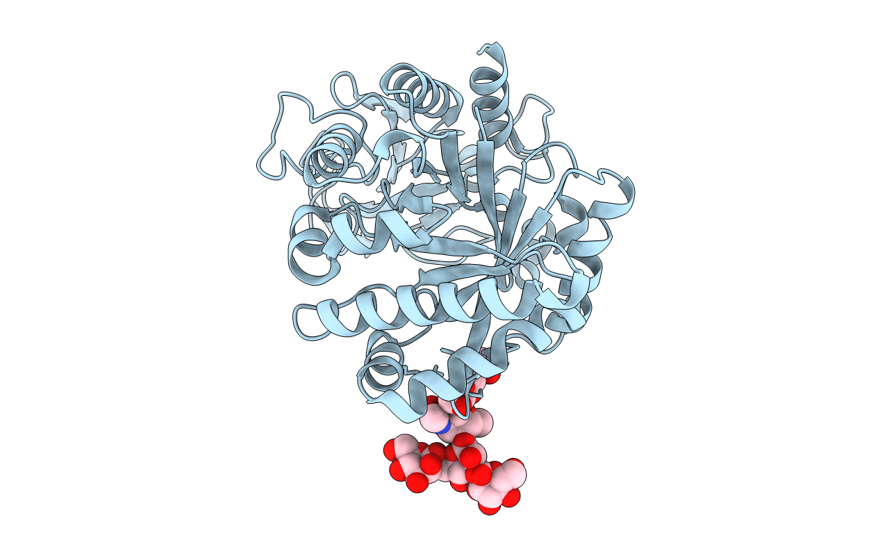 2DPE image