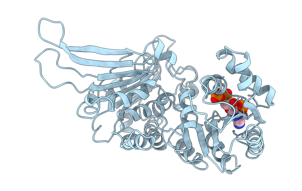 2DPG image