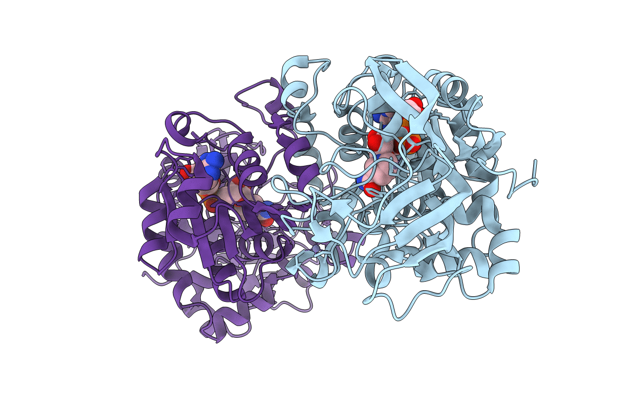 2DPH image