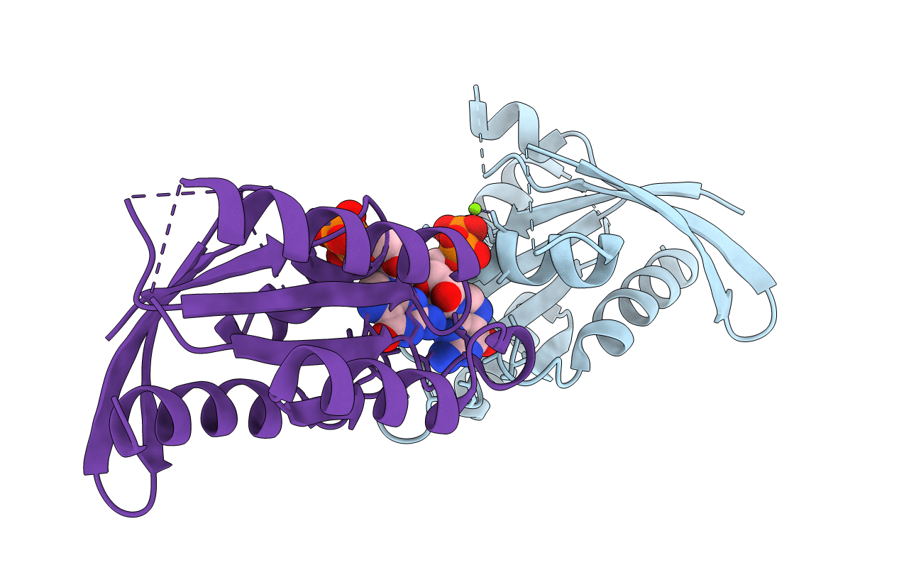 2DPX image