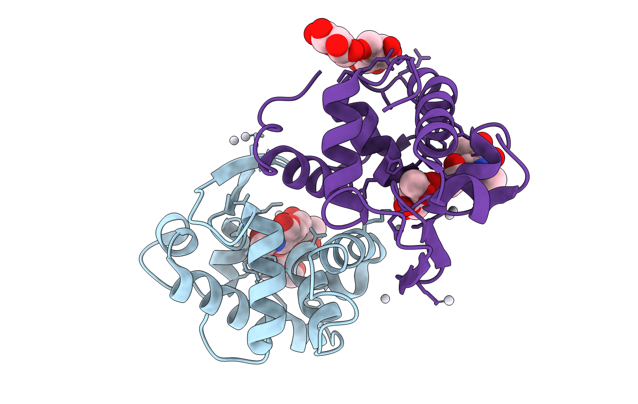 2DQA image