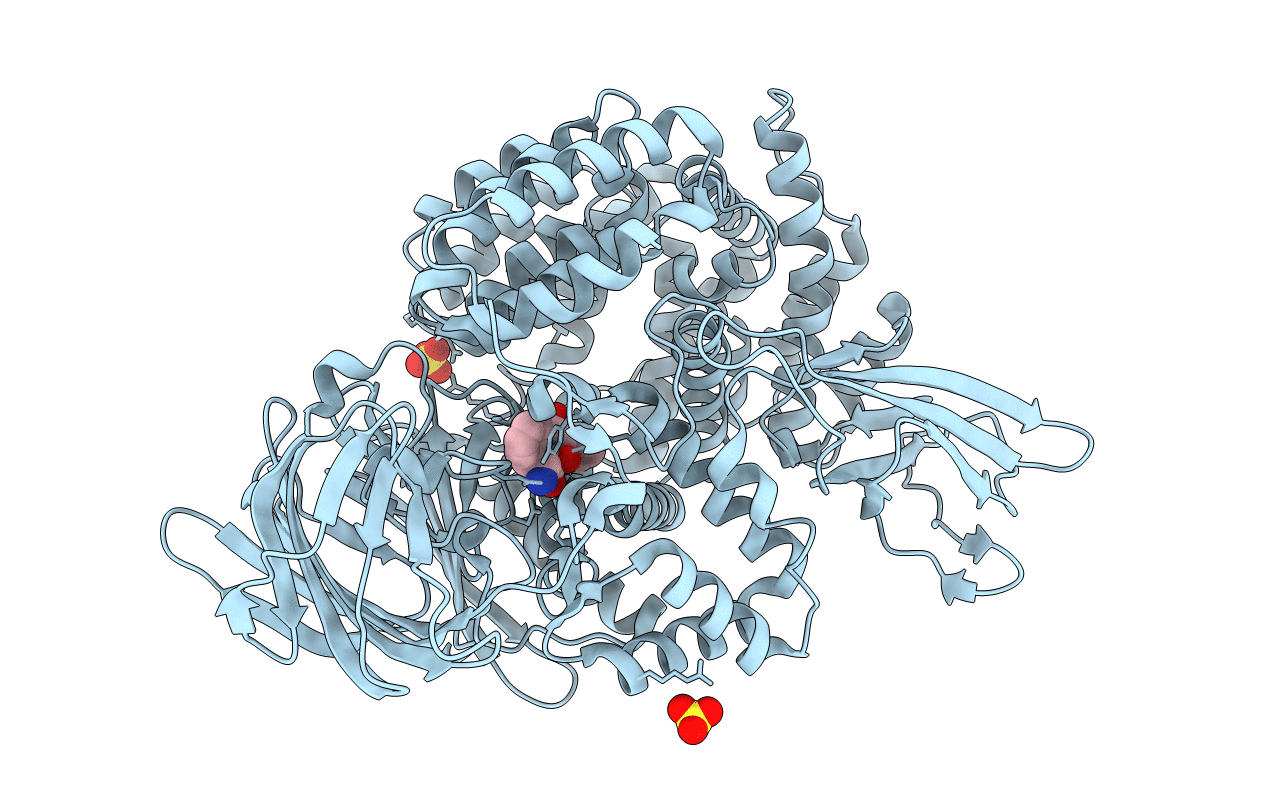 2DQM image