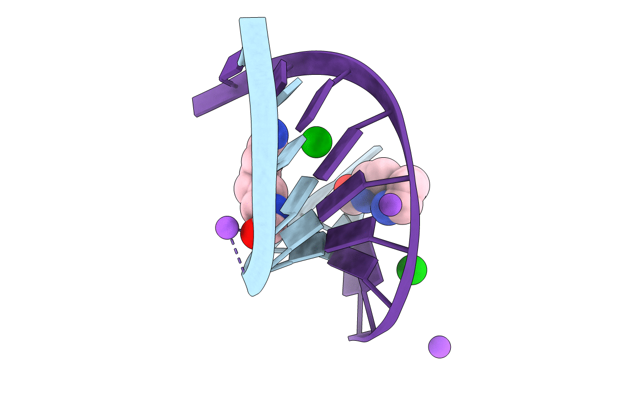 2DQO image