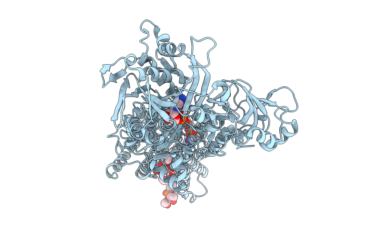 2DQS image