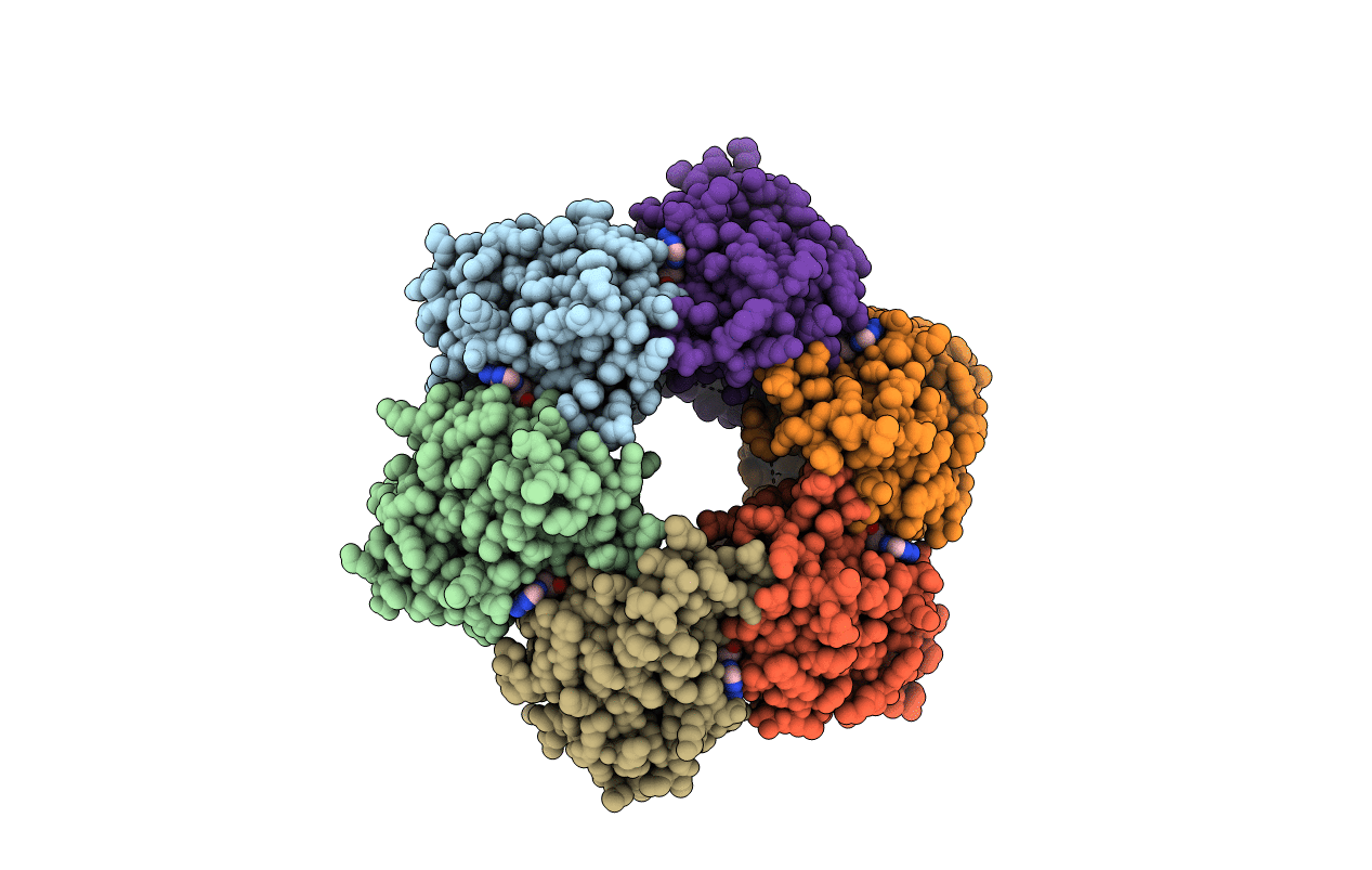 2DR3 image