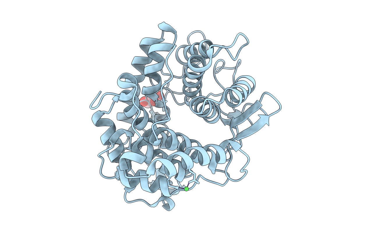 2DRS image