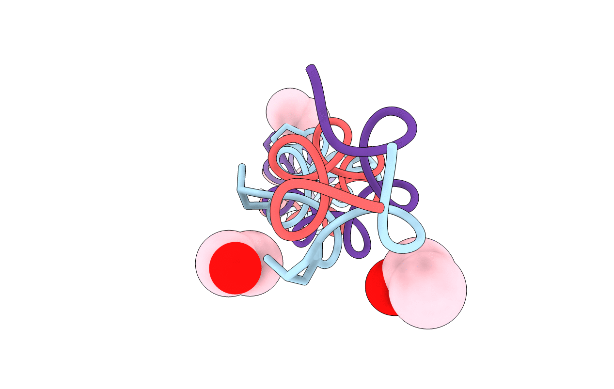 2DRT image
