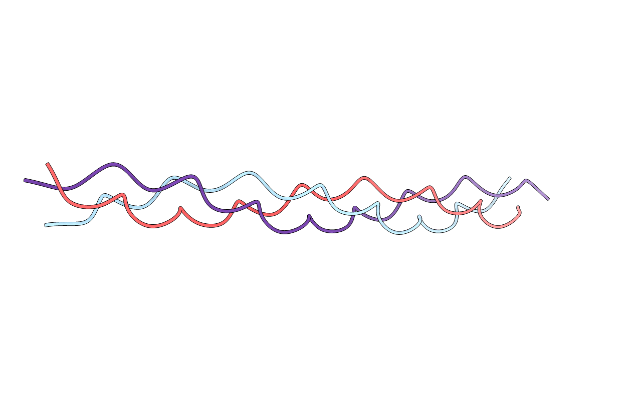 2DRX image