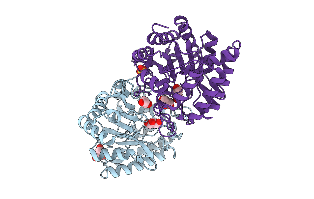 2DSK image