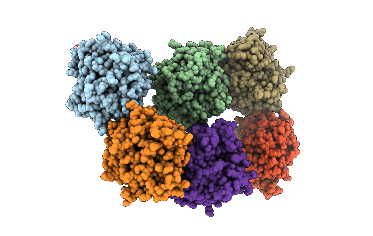 2DSO image