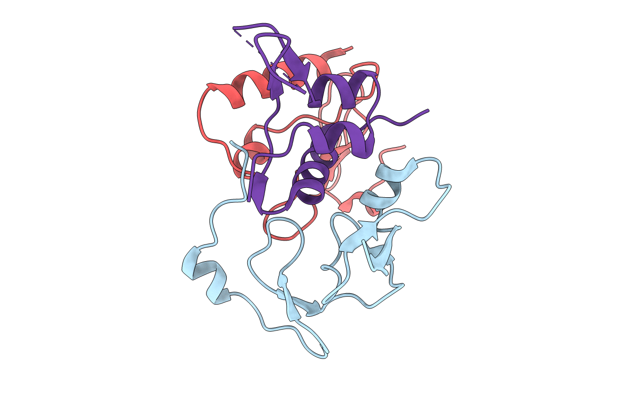 2DSR image