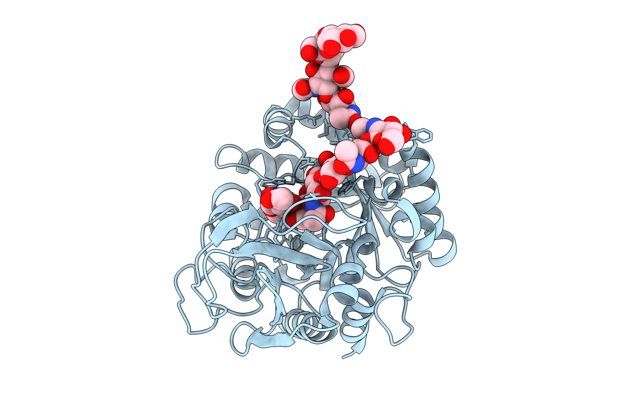 2DSV image