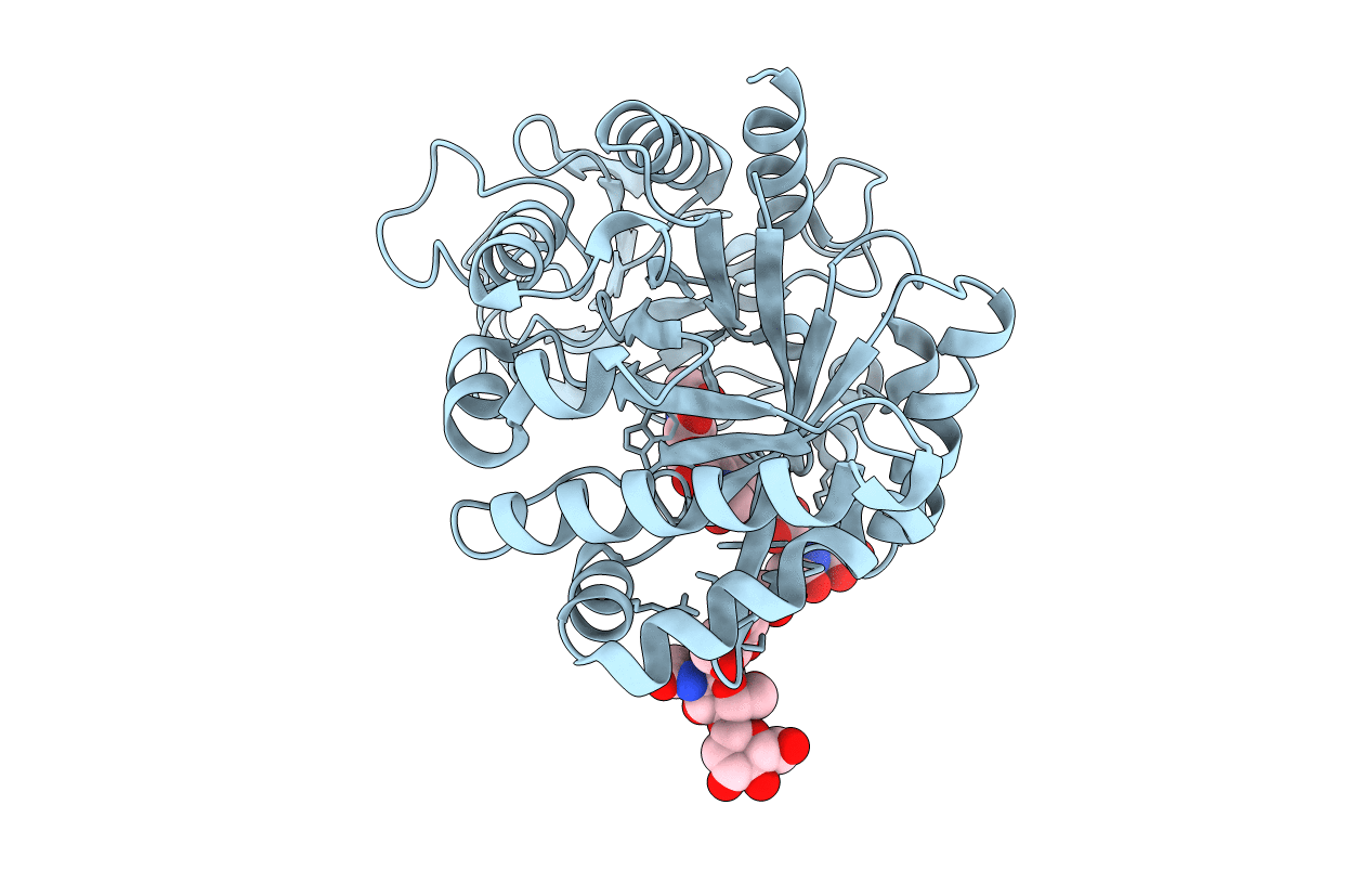 2DT1 image