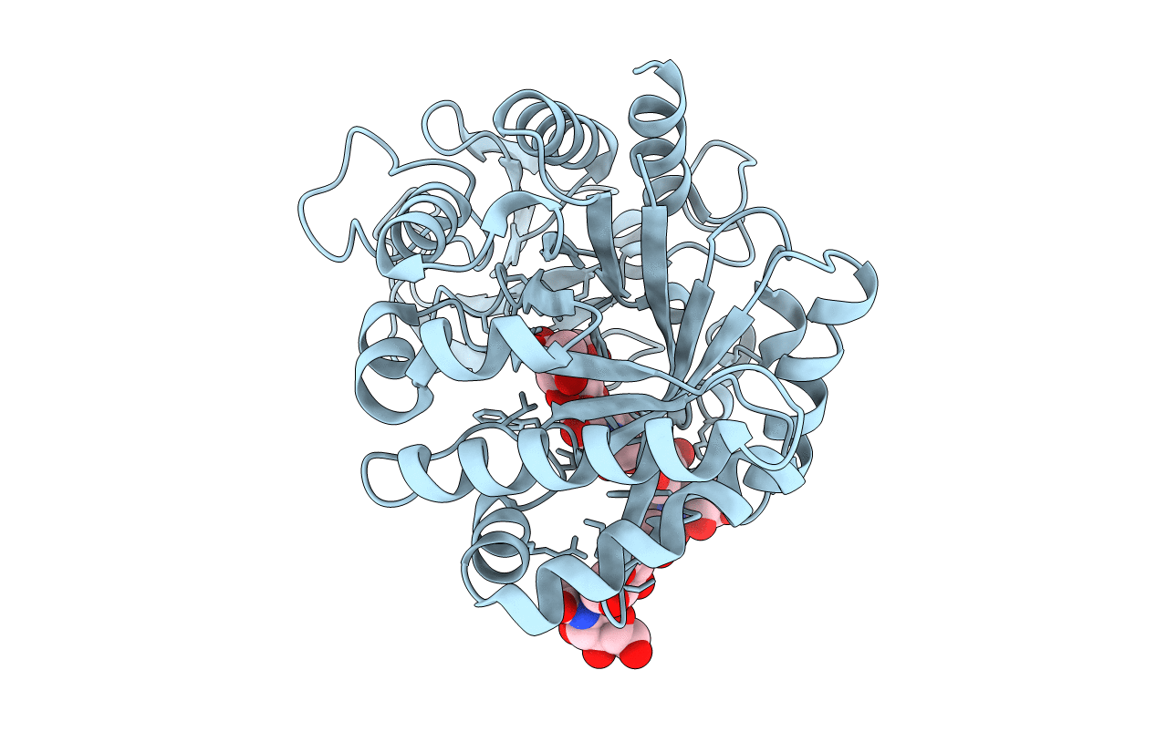 2DT2 image