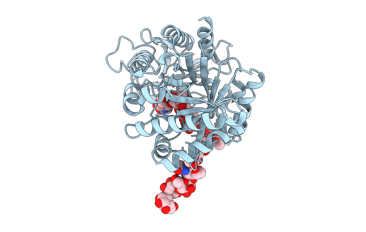 2DT3 image