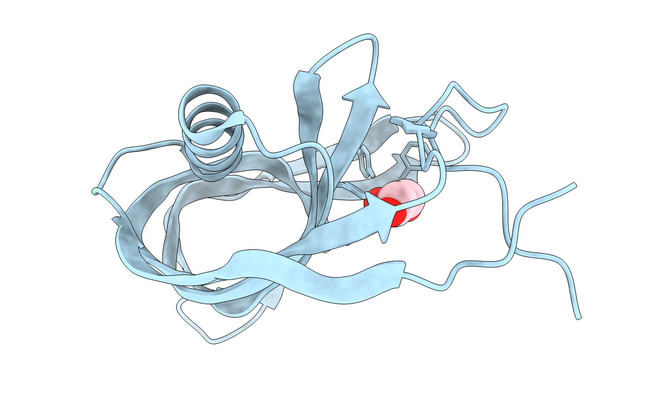 2DT4 image