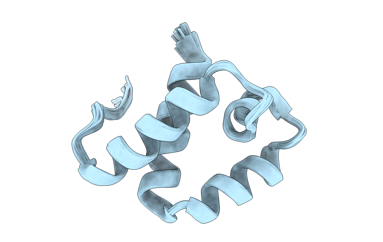 2DT6 image