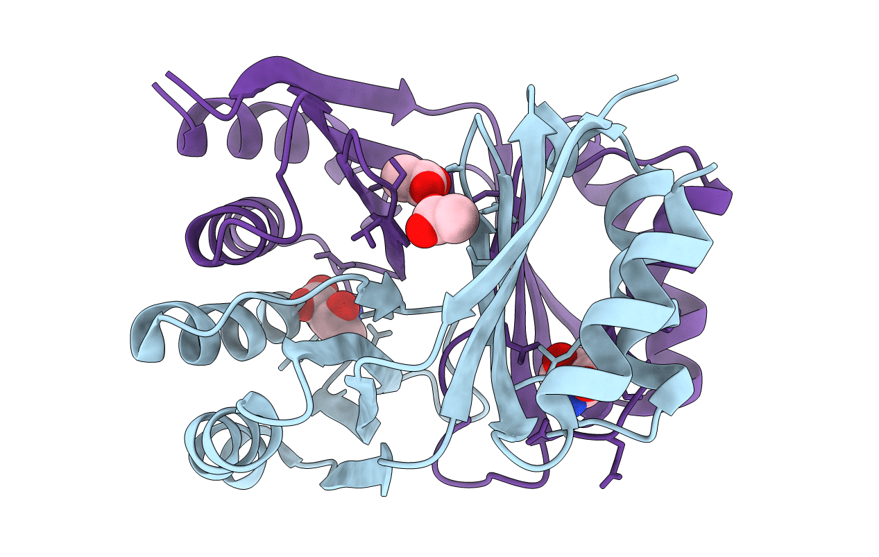 2DT9 image