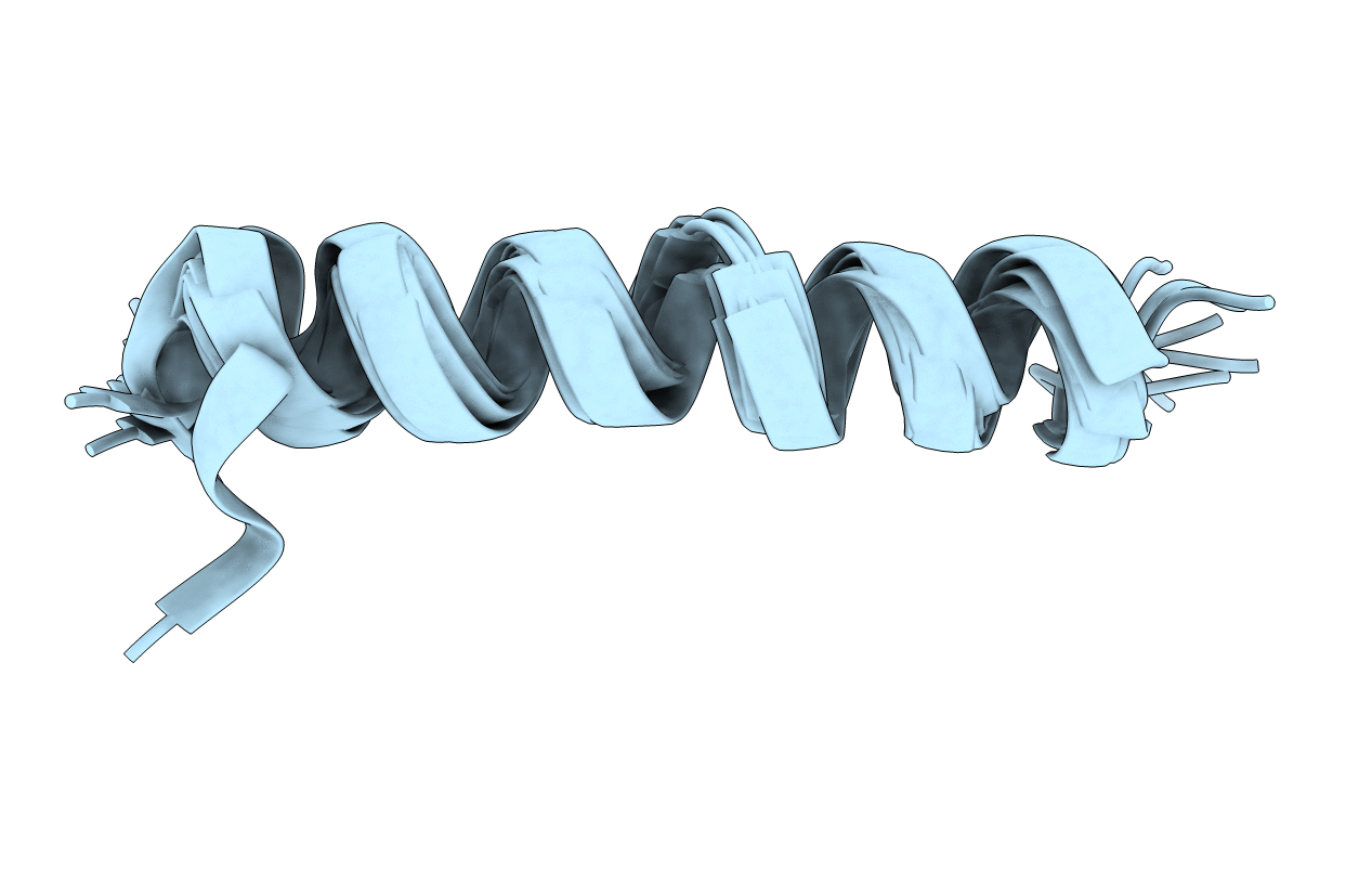 2DTB image