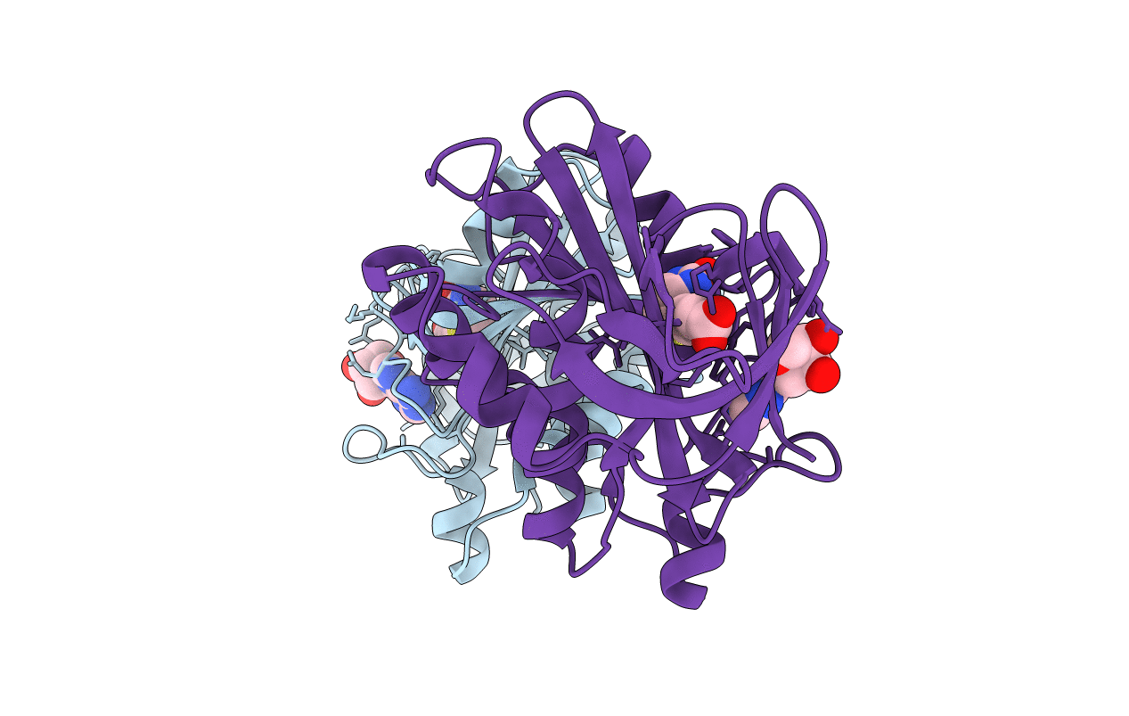 2DTH image