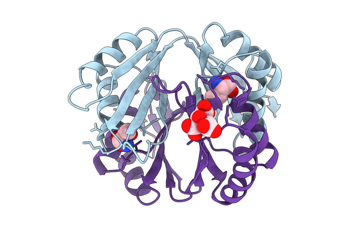 2DTJ image