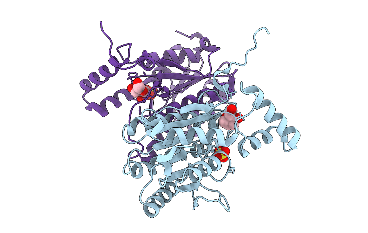 2DTX image