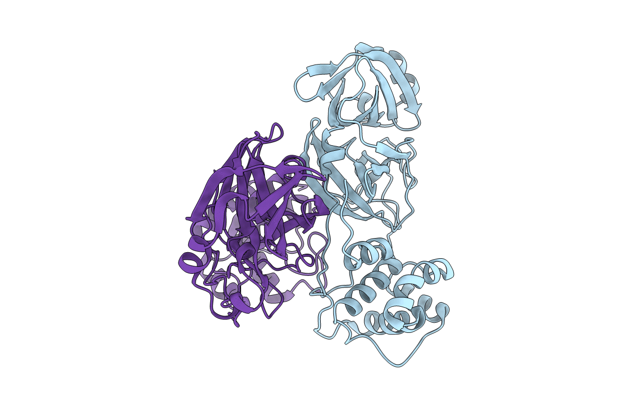 2duc image