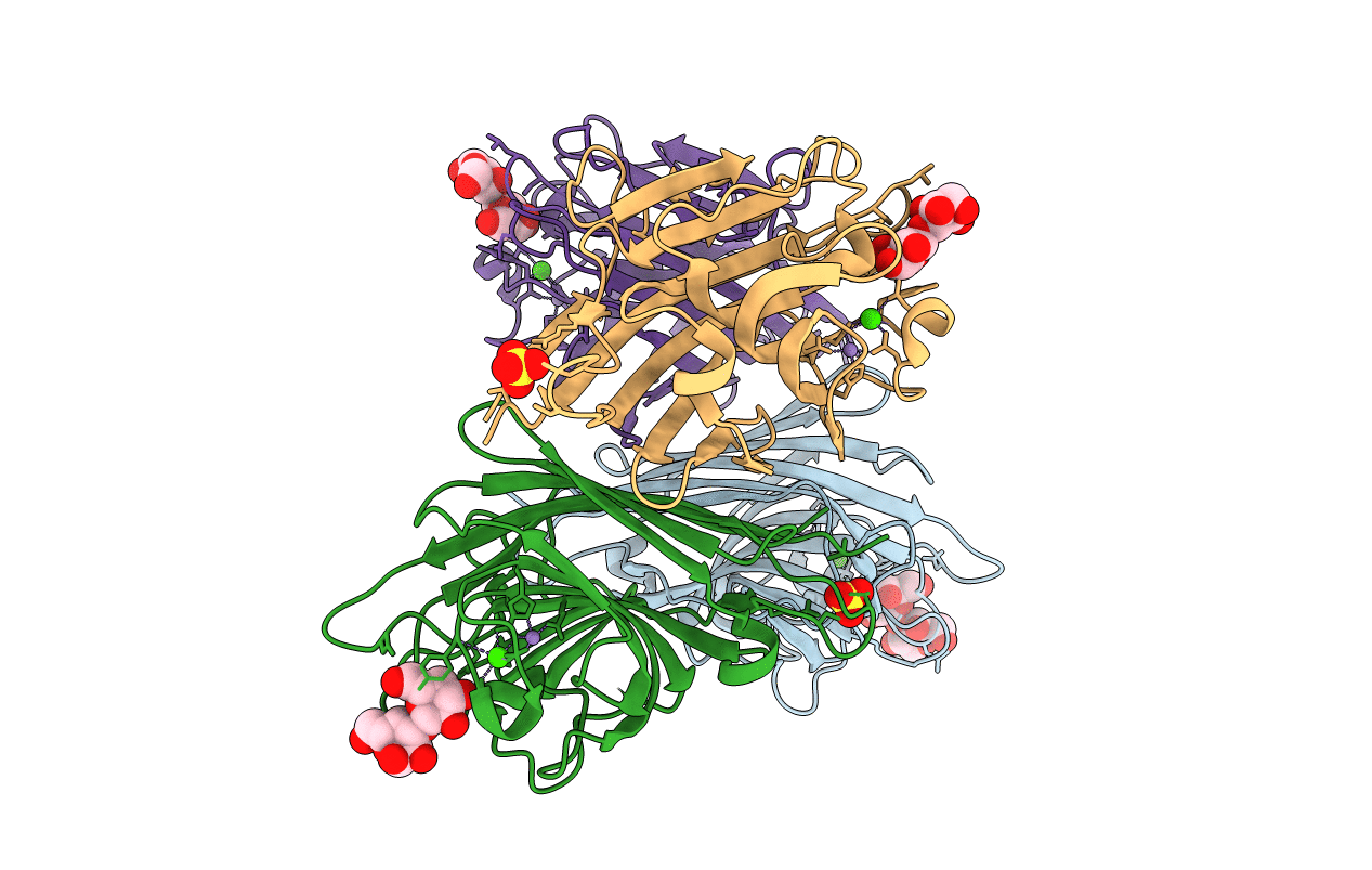 2DV9 image