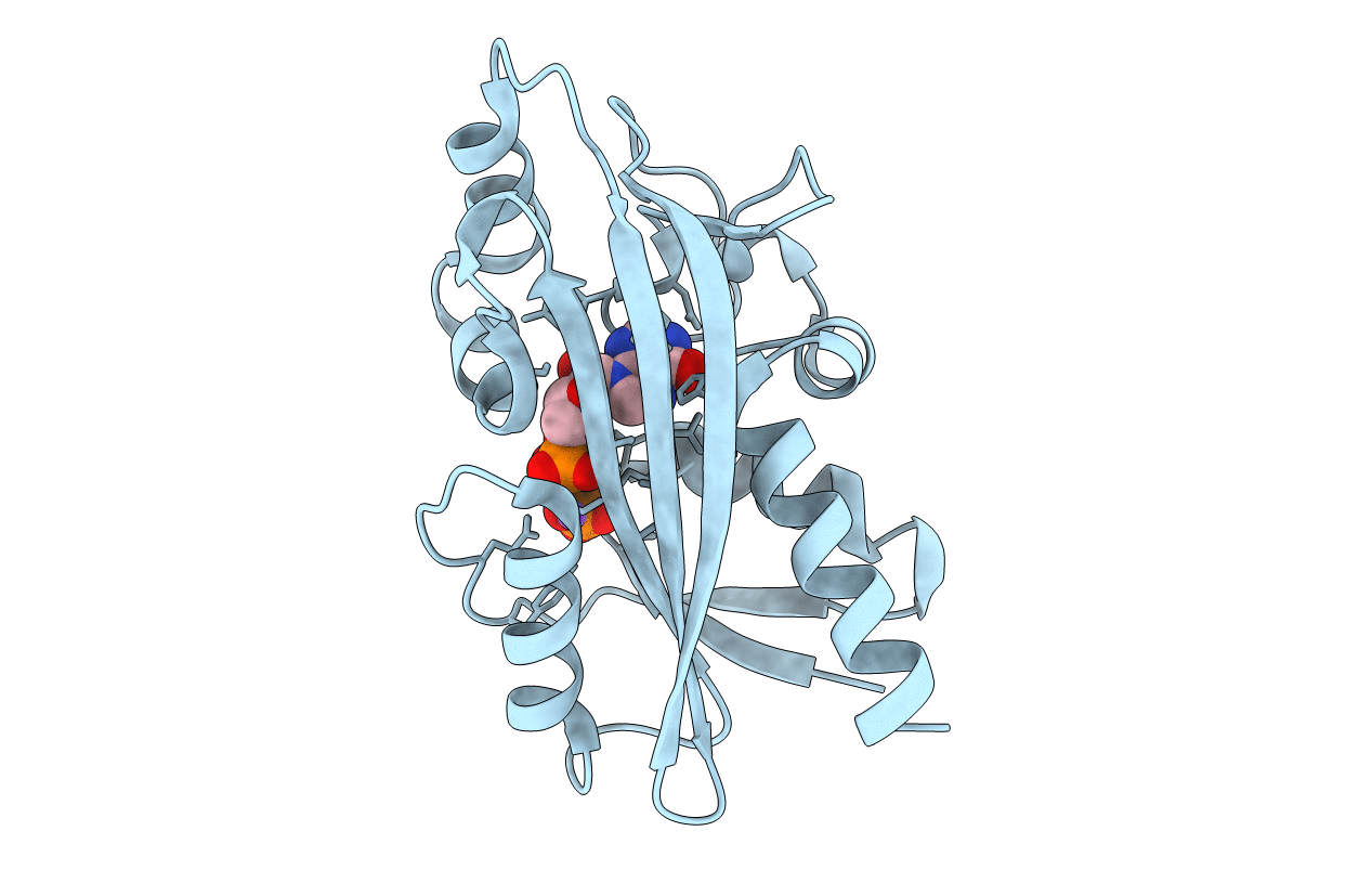 2DVO image