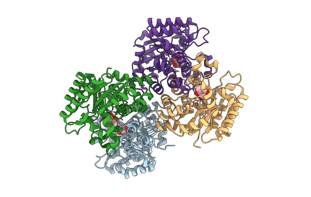 2DVU image