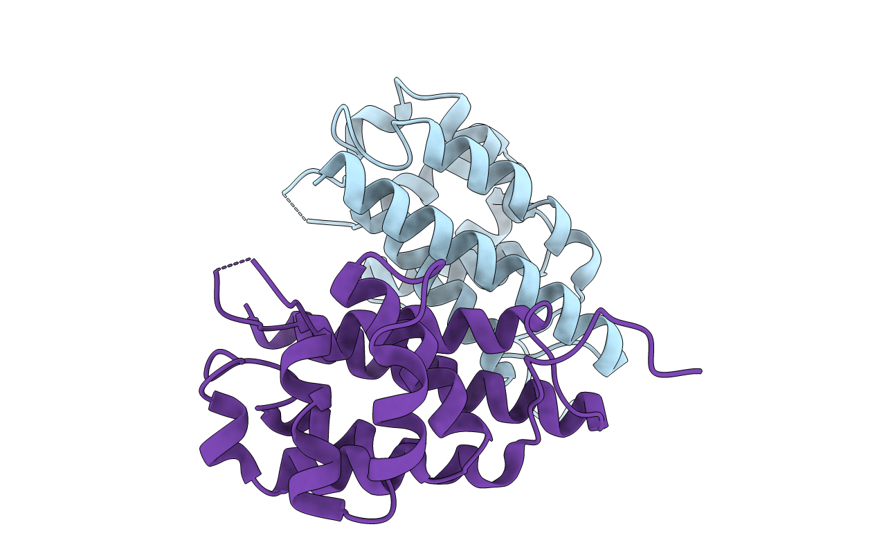 2DWG image