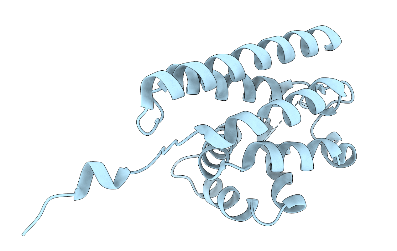 2DWK image