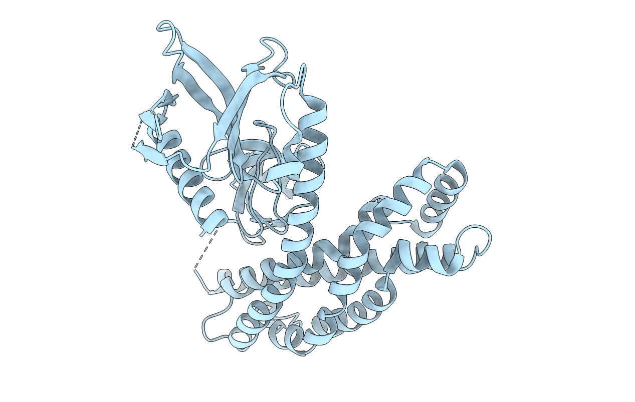 2DX1 image