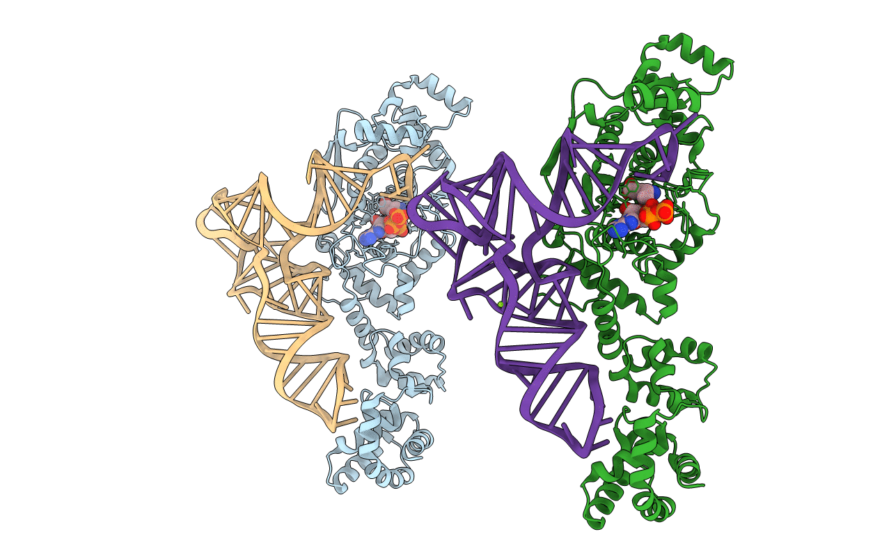 2DXI image