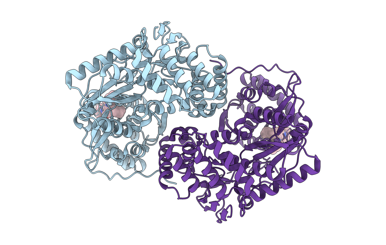 2DXS image