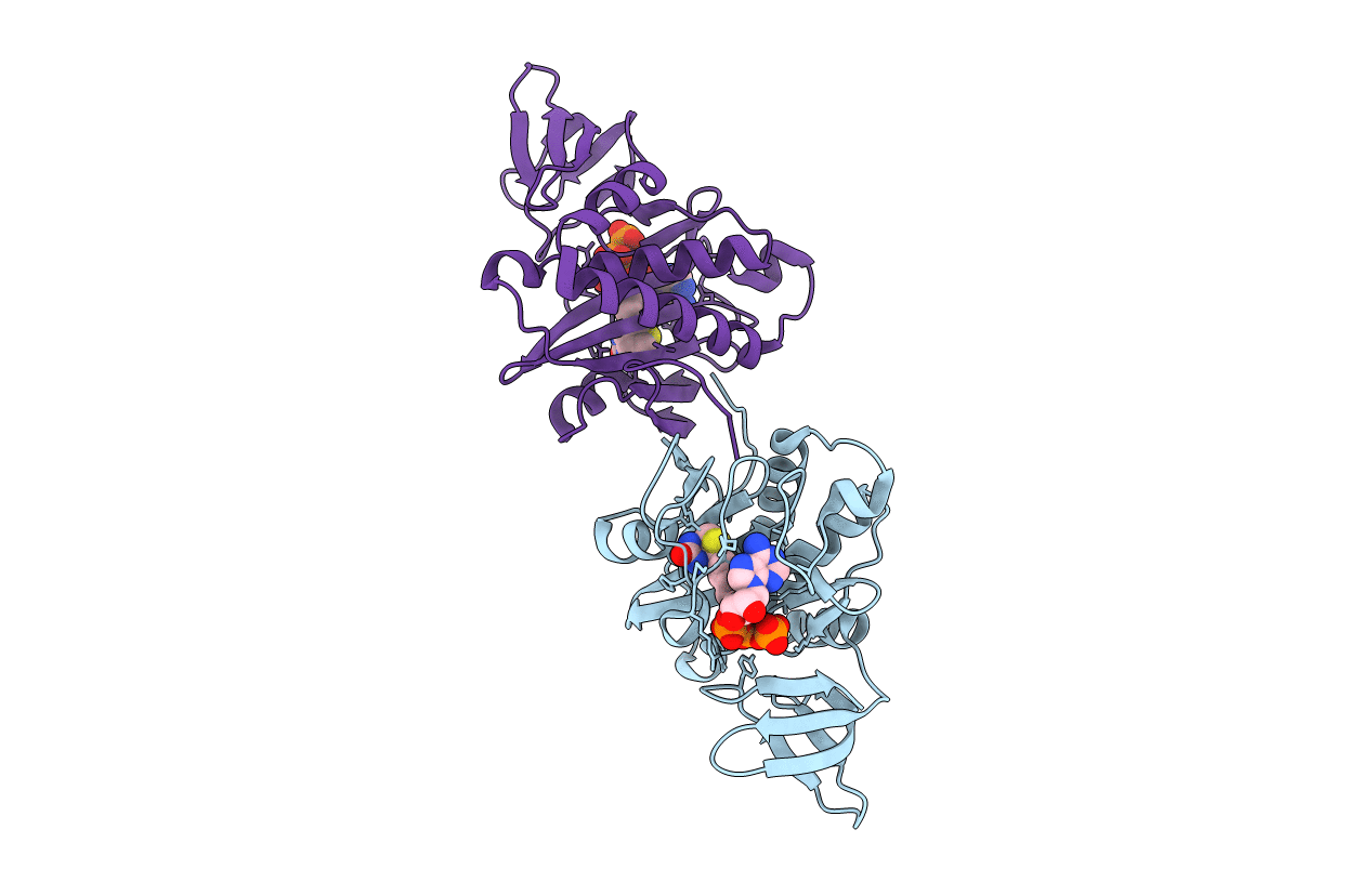 2DXT image