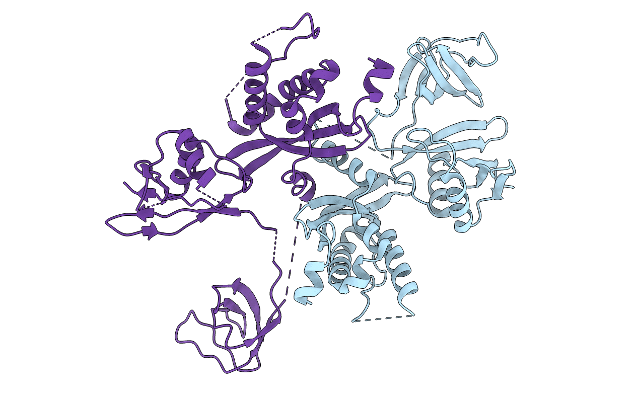 2DYB image